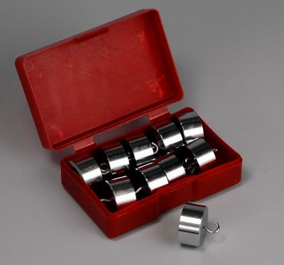 Набор грузов по механике (10х50г. )