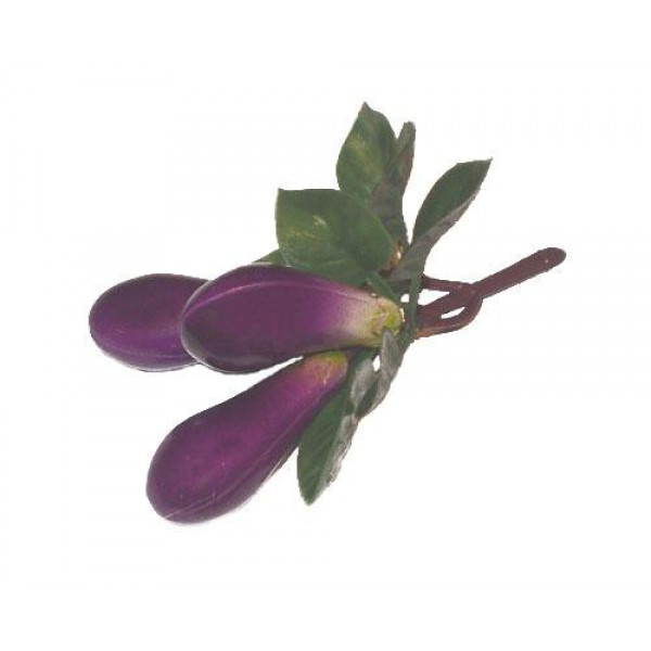 Ветка муляжей 