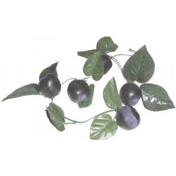 Ветка муляжей 