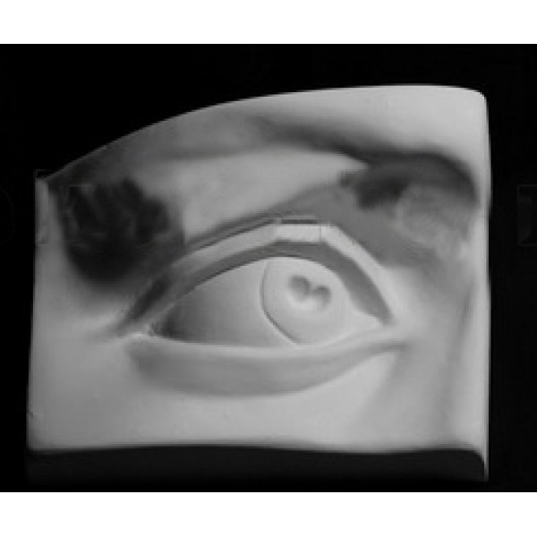 Гипсовая модель 