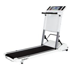 Беговая дорожка Horizon Evolve Plus