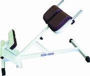 ПС48 Р ТРЕНАЖЕР ДЛЯ СПИНЫ (СТОЯ ПОД УГЛОМ)