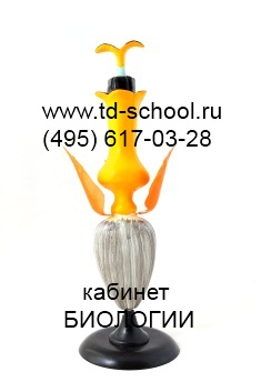 Цветок подсолнечника