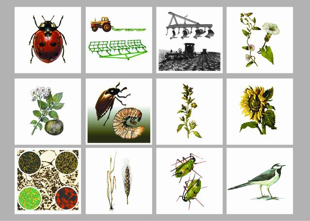 Модель-аппликация 