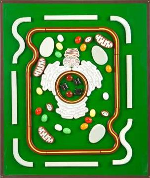 Модель-аппликация 