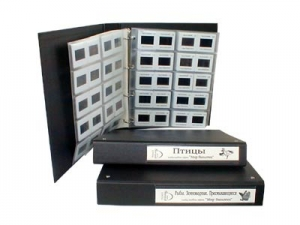 Комплект слайд-альбомов (Млекопитающие. Птицы. Рыбы, земноводные. человек и его здоровье. Эволюция. Экология. Цитология и генетика)