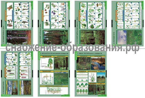 Растения и окружающая среда (7 таблиц)