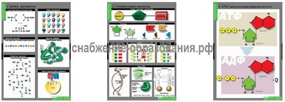 Химия клетки (3 таблиц)