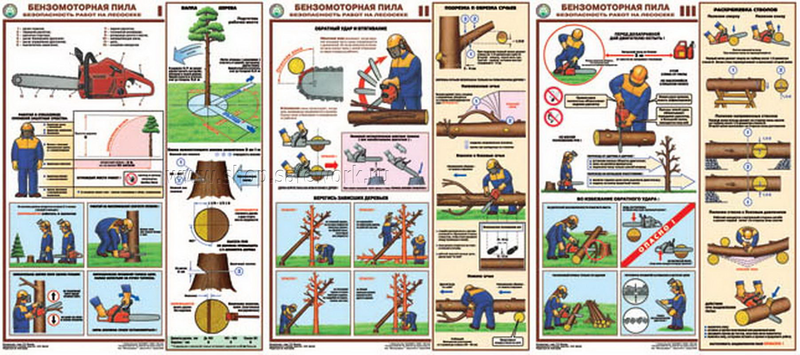 Бензомоторная пила. Безопасность работ на лесосеке - комплект из 3 листов