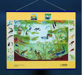 Плакат магнитный 