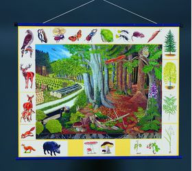 Плакат магнитный 