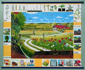 Плакат магнитный 