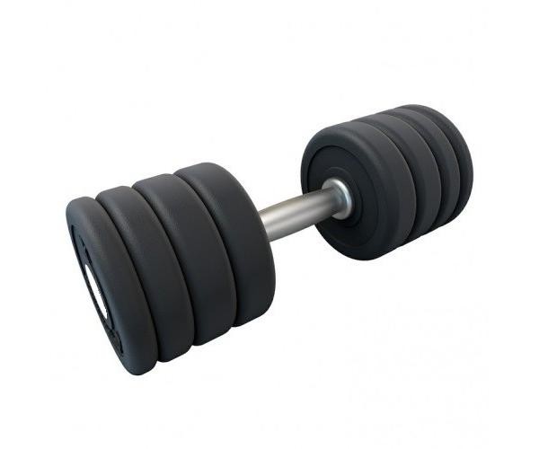 Гантель профессиональная хром/резина 43 кг.