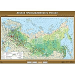 Лесная промышленность России, 100*140 см