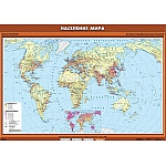 Население мира, 100*140 см