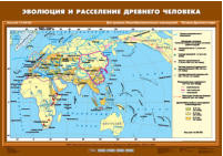 Эволюция и расселение древнего человека, 70*100 см