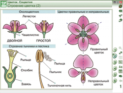 Интерактивное учебное пособие 