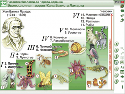 Интерактивное учебное пособие 