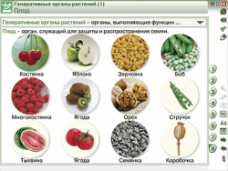 Интерактивное учебное пособие 