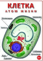 Видеофильм «Клетка - 