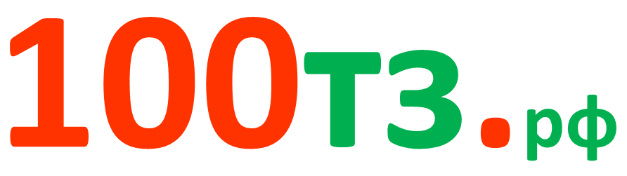 100ТЗ